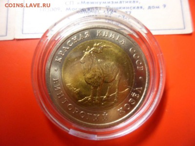 ФИКС. КК 1991 Филин и Козёл UNC 17.10.15 22.00 - SAM_4846.JPG