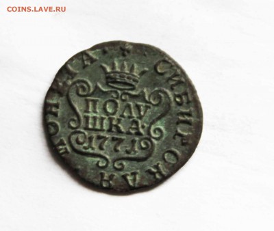 полушка сибирь1771 до17.10 до21.00. помск - IMG_1237