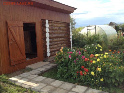 Мой сад и огород - IMG_0206.JPG