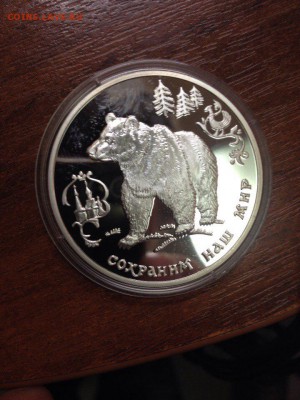 бурый медведь серебро оценка на продажу - CaEvp8sLuEQ