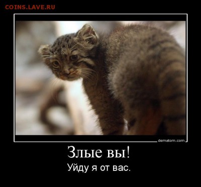 делает - прямо сейчас !!! - зл