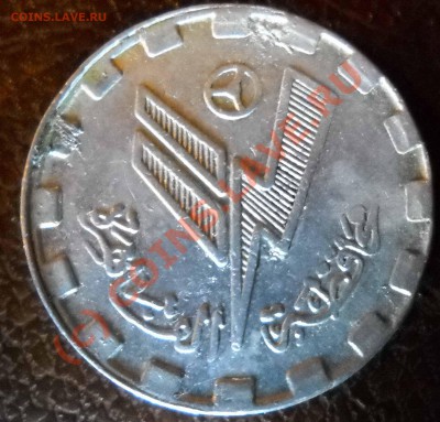 Египетский жетон опознание - DSCN1565 a_2