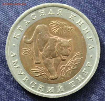С 200 руб. КК 10 рублей 1992г. АМУРСКИЙ ТИГР до 19.10.15г. - IMG_8193.JPG