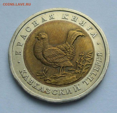 1993 КК Кавказский тетерев   до 17.10.15 в 22.00 - Тетерев 1