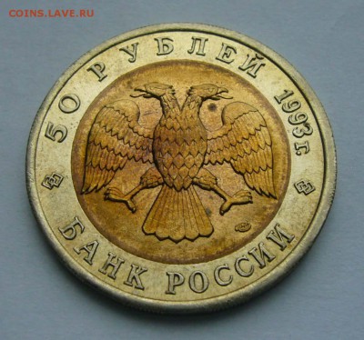 1993 КК Туркменский эублефар   до 17.10.15 в 22.00 - Эублефар 2