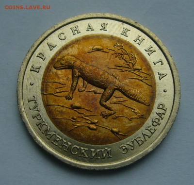 1993 КК Туркменский эублефар   до 17.10.15 в 22.00 - Эублефар 1