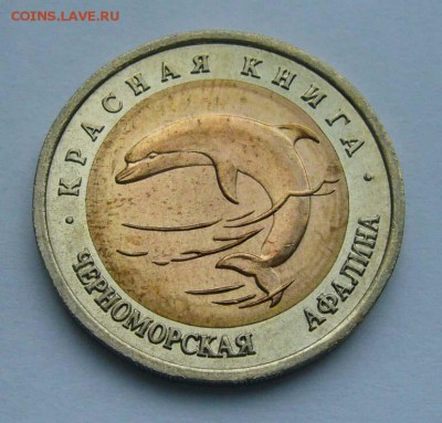 1993 КК Черноморская афалина   до 17.10.15 в 22.00 - Афалина 1