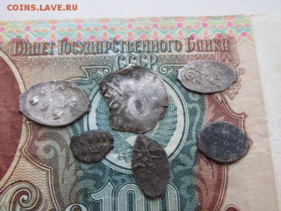 Чешуя - серебро. - IMG_0253.JPG