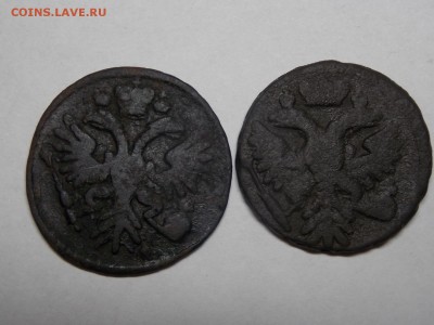 Две денги. 1731,1741г. до 14.10 - DSCN4189.JPG
