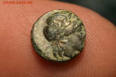 Аттика.город Гамбрион-Мизия 350-250 год до н.э - CSC_0484.JPG