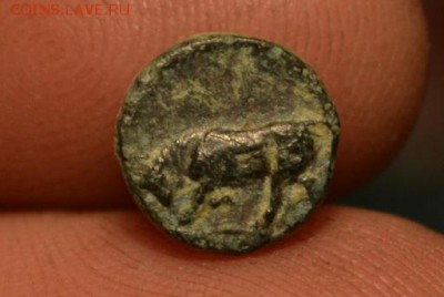 Аттика.город Гамбрион-Мизия 350-250 год до н.э - CSC_0485.JPG