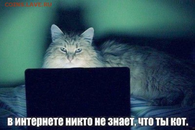 Что значит Ваша аватарка? - 00-01