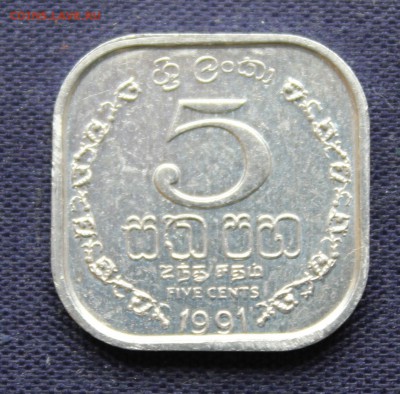 Конкурс «Veni Vedi Vici» - IMG_7999.JPG