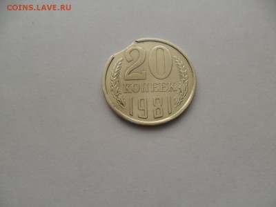 выкус 20 коп 1981г.До 17.10.15г. в 22-00 по МСК. - SAM_7387.JPG