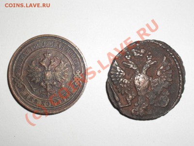 денга 48г - SDC12912.JPG