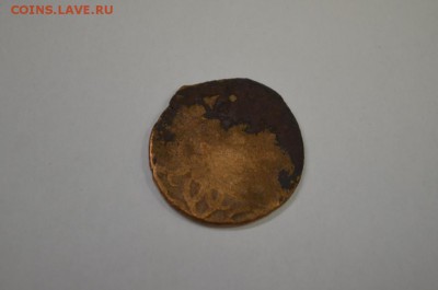 Опознание - DSC_0016