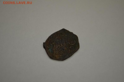 Опознание - DSC_0006