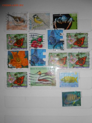 Фауна и флора, 100 шт.,  до 21.10.2015 - DSCN1281.JPG