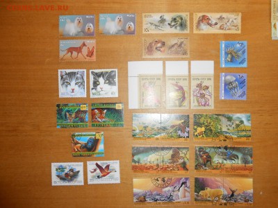 ФАУНА и флора, большой сток, чистые и гашеные - DSCN1288.JPG