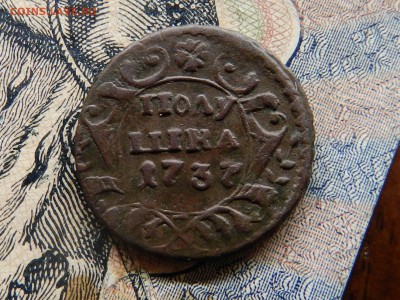 полушка 1737 (крепкая кладовая) предпродажная оценка - DSCN8816