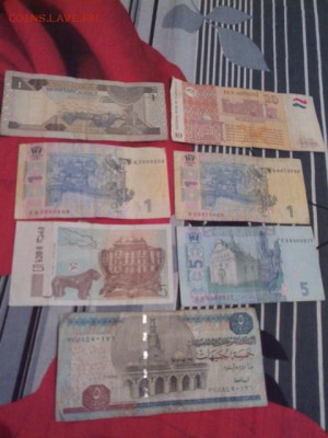 набор БОНЫ.7 шт.короткий.до 17.10.2015 22.30 - 20151016013130