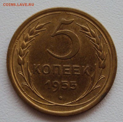 5 копеек 1955 до 20.10 - 5 коп 1955.JPG