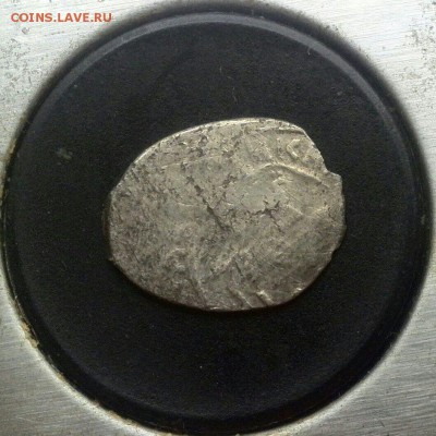 подскажите по чешуйке - 2542d1c56b2ecbb3ef2414ee8f407eece68e6ccc1fff6dd271aef12ec0d7fa96