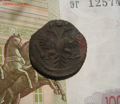 Полушка 1734, до 19.10.15  в 22.00мск - IMG_5668.JPG