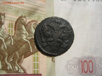 Полушка 1731, до 19.10.15  в 22.00мск - IMG_5676.JPG