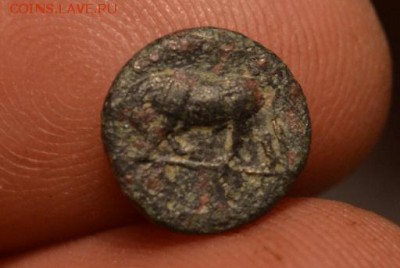 Аттика.город Гамбрион-Мизия 350-250 год до н.э - CSC_0497.JPG