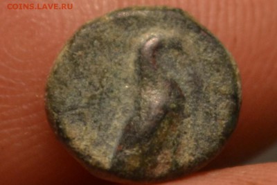 Аттика.город Кима.Эолида.Малая Азия 320-250 год до н.э. - CSC_0520.JPG