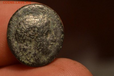Аттика.город Гамбрион-Мизия 350-250 год до н.э. - CSC_0495.JPG