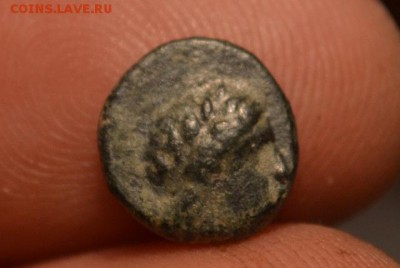 Аттика.город Гамбрион-Мизия 350-250 год до н.э. - CSC_0501.JPG