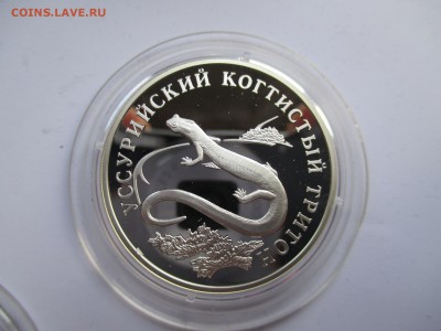 1 РУБЛЬ 2006 УСУРИЙСКИЙ ТРИТОН ДО 21  10 2015 22 00 МСК - IMG_0261.JPG