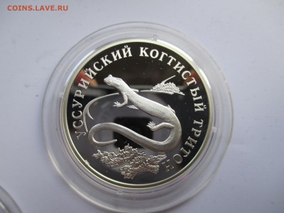 1 РУБЛЬ 2006 УСУРИЙСКИЙ ТРИТОН ДО 21  10 2015 22 00 МСК - IMG_0260.JPG