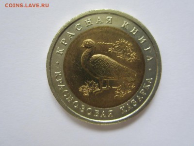 Красная Книга.1992.Казарка.   До 23.10 - 92-Казарка