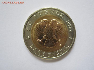 Красная Книга.1993.Медведь   До 23.10 - 93-Медведь-1