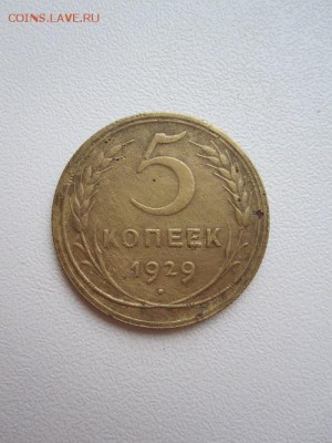 5 копеек 1929 - IMG_6846.JPG