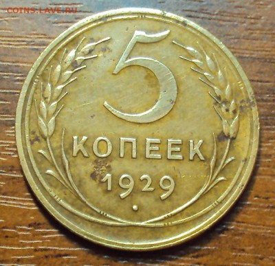 5 копеек 1929 до 19.10 22-30 с бонусом! - DSC04279.JPG