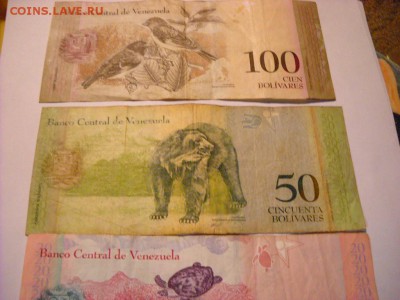 боны  Венесуэла 100. 50.. 20. 10. 5 . 2. боливаров - DSCN6667[1].JPG