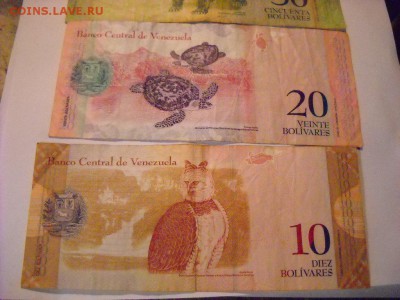 боны  Венесуэла 100. 50.. 20. 10. 5 . 2. боливаров - DSCN6668[1].JPG