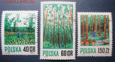 Марки Европы. ПНР. Леса - IMG_3484.JPG