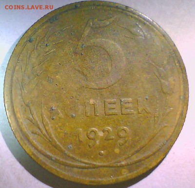 5 копеек 1929г. - 5коп29.JPG