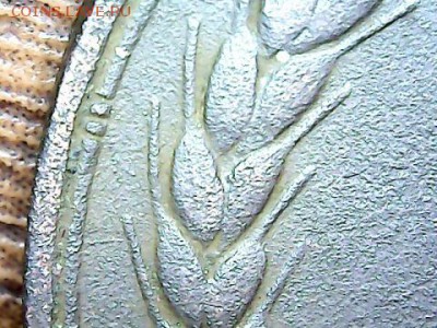 3 коп 1924 - draw_1020-7