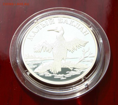 1 руб Баклан маленький 2003 до 25.10.в 22-30 по мск. - баклан1