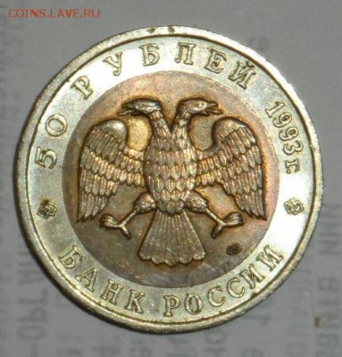 Обмен Красной Книгой. - SAM_0363.JPG