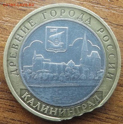 Калининград край листа? - DSCF8302_cr