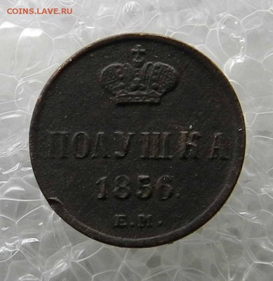 Полушка  (точки на короне)  - 1856 ем - до 24.10.2015 - DSCN9047