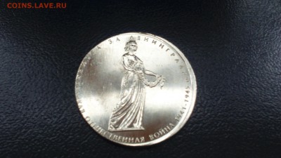 5р Битва за Ленинград на Заготовке 2р до 28.10 22-30 - DSC_1194.JPG