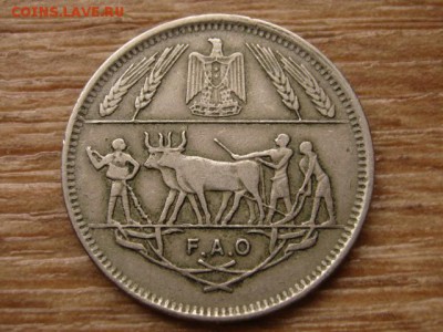 .Египет 10 пиастров 1970 ФАО быки до 25.10.15 в 21.00 М - IMG_0217.JPG